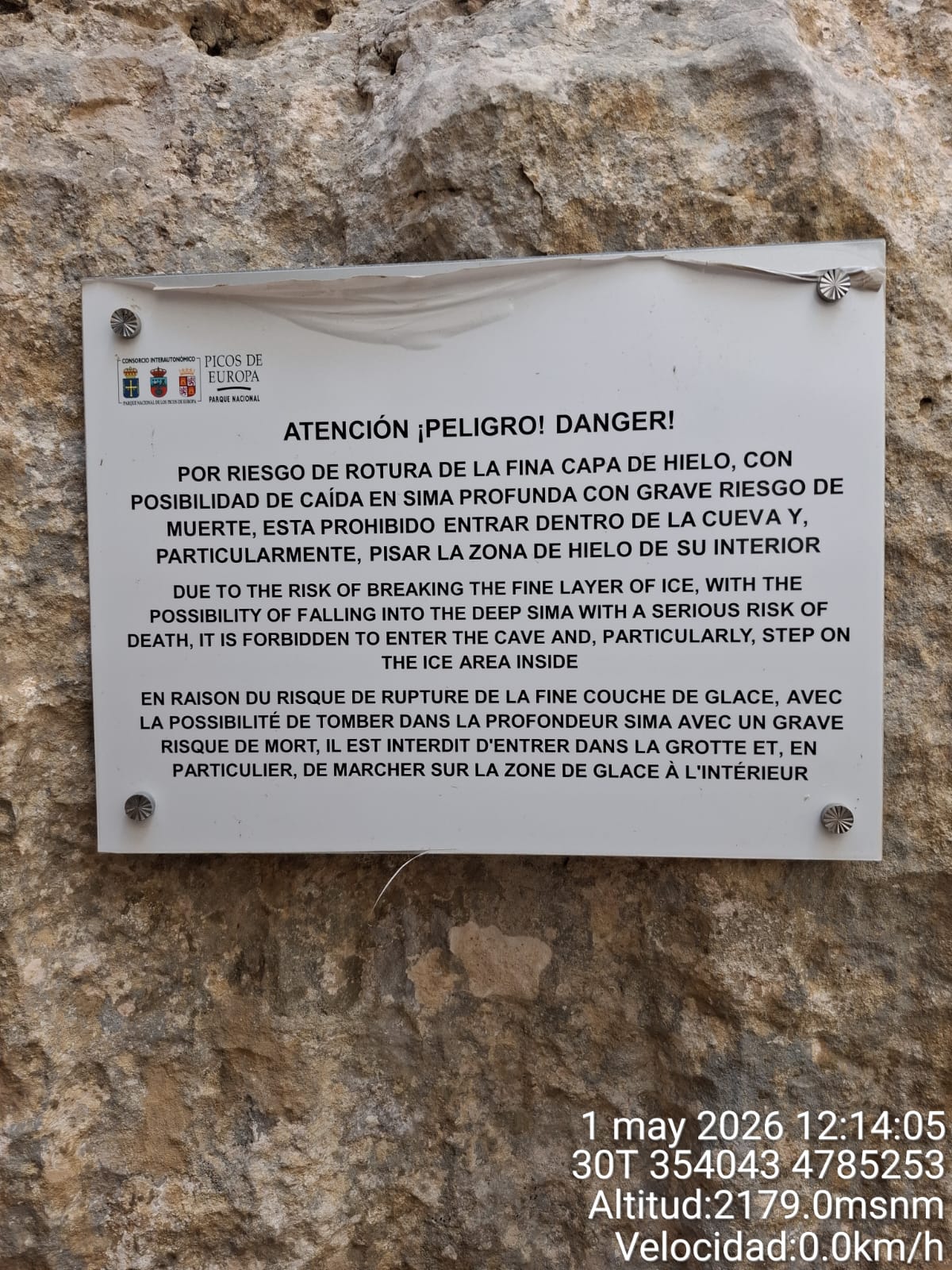 cartel riesgo de muerte